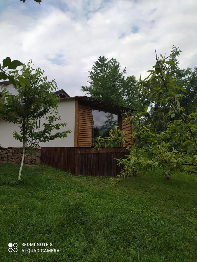 Lenilenii Apartment *