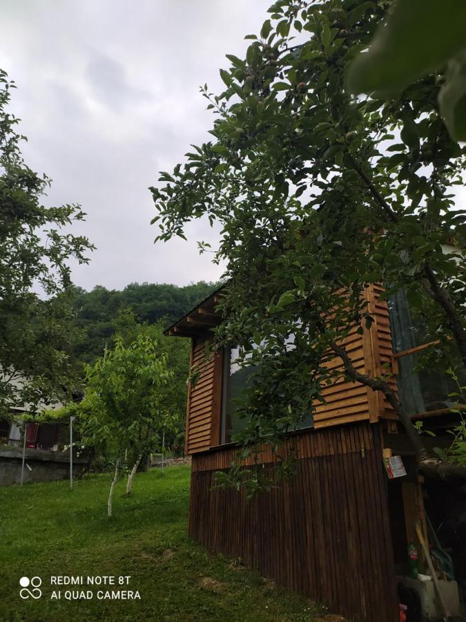 Lenilenii * Jajce